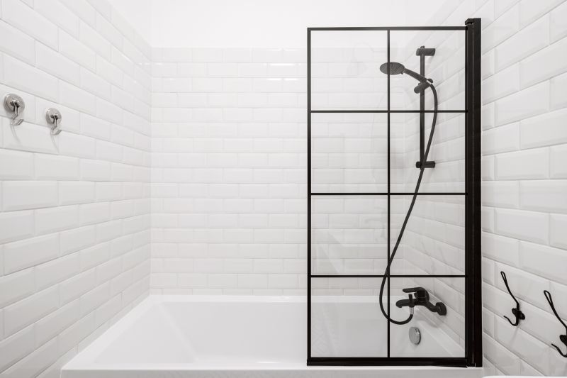 Modern Shower with Black Fixtures